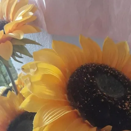 Prázdninový dům Casa Del Girasole